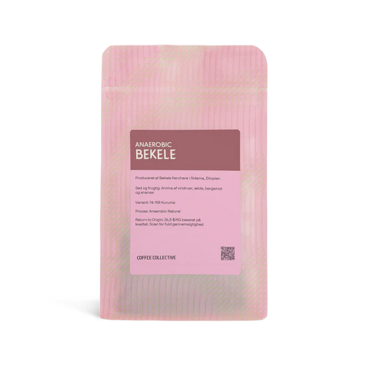 COFFEE COLLECTIVE - Bekele Anaerobic Filter | Ethiopia - Anaerobic Natural - 74158 Kurume