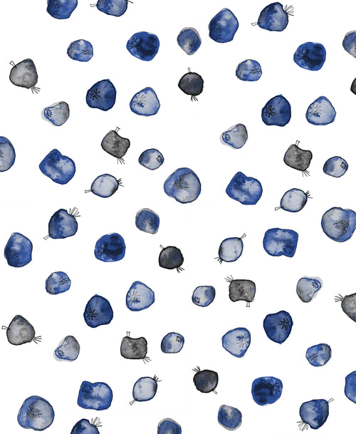 TAITH - Bekele Yutute | Ethiopia - Anaerobic Natural - Local Landrace