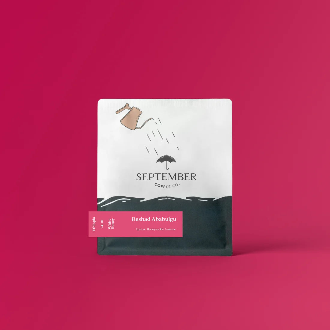 SEPTEMBER - Reshad Ababulgu | Ethiopia - White Honey - 74110