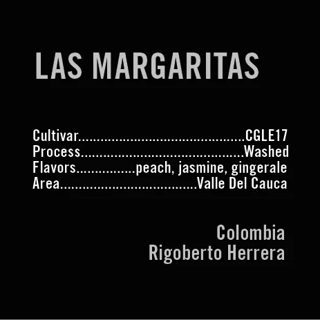 APOLLON'S GOLD - Las Margaritas CGLE17 | Colombia - Washed - CGLE17