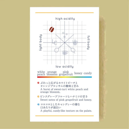 LILO - El Origen Pink Bourbon | Colombia - Thermal Shock Washed - Pink Bourbon