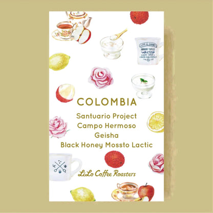 LILO - Santuario Project Campo Hermoso Geisha | Colombia - Black Honey Mossto Lactic Extended Fermentation - Geisha
