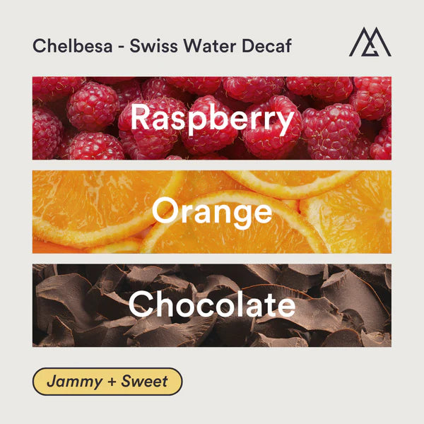 MONOGRAM - Decaf - Chelbesa Swiss Water Decaf Espresso | Ethiopia - Natural - Dega, Kurume