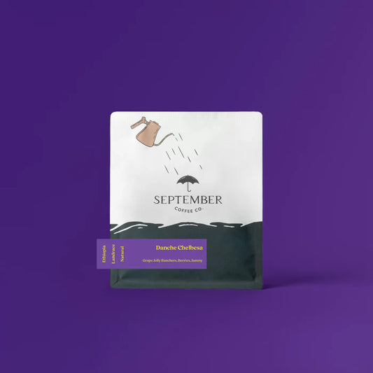 SEPTEMBER - Danche Chelbesa | Ethiopia - Natural - Landrace