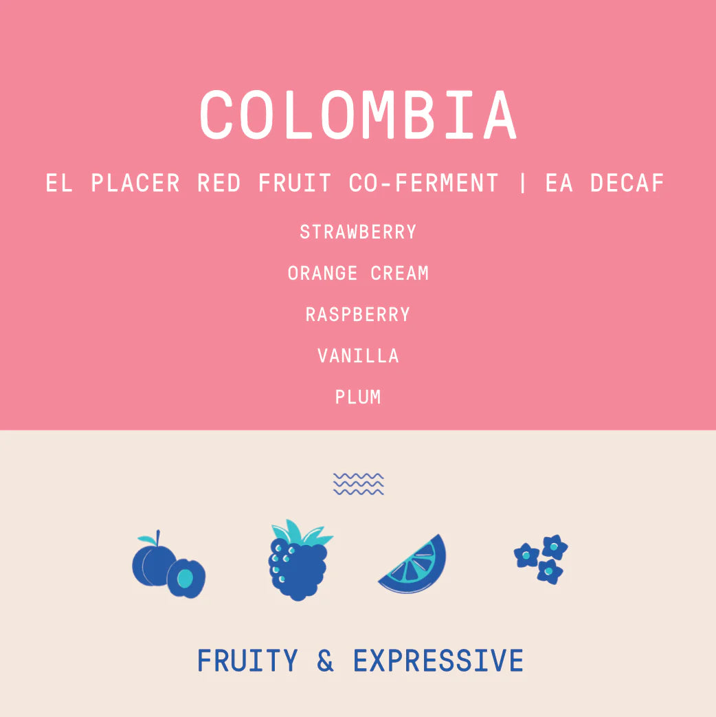 ROGUE WAVE - Decaf - El Placer | Colombia - Red Fruit Co-Fermented EA Decaf - Caturra