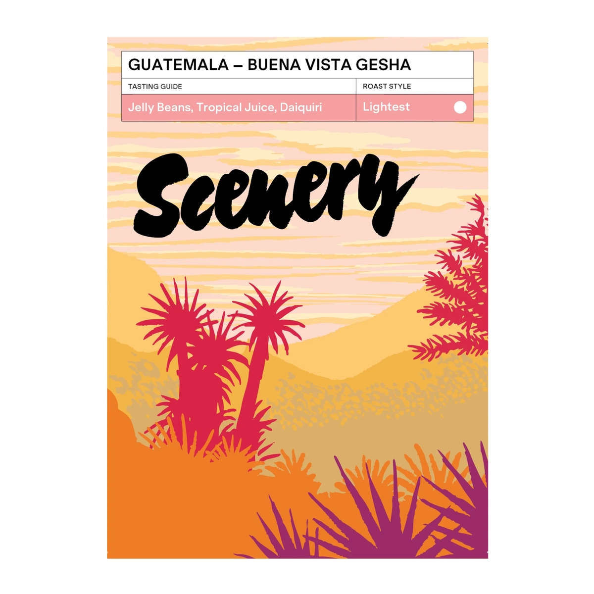 SCENERY - Buena Vista Gesha | Guatemala - Natural - Gesha