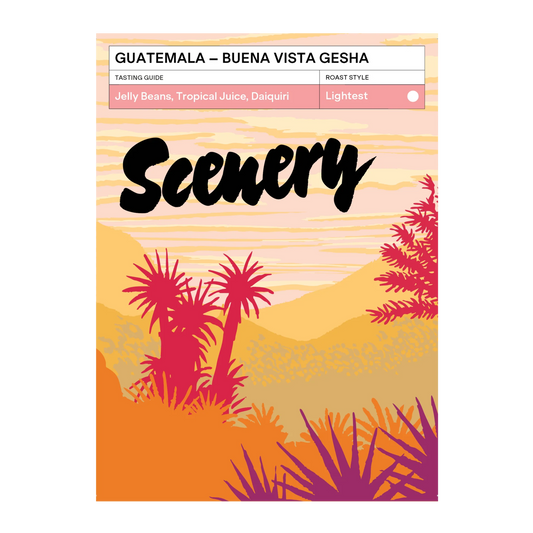 SCENERY - Buena Vista Gesha | Guatemala - Natural - Gesha