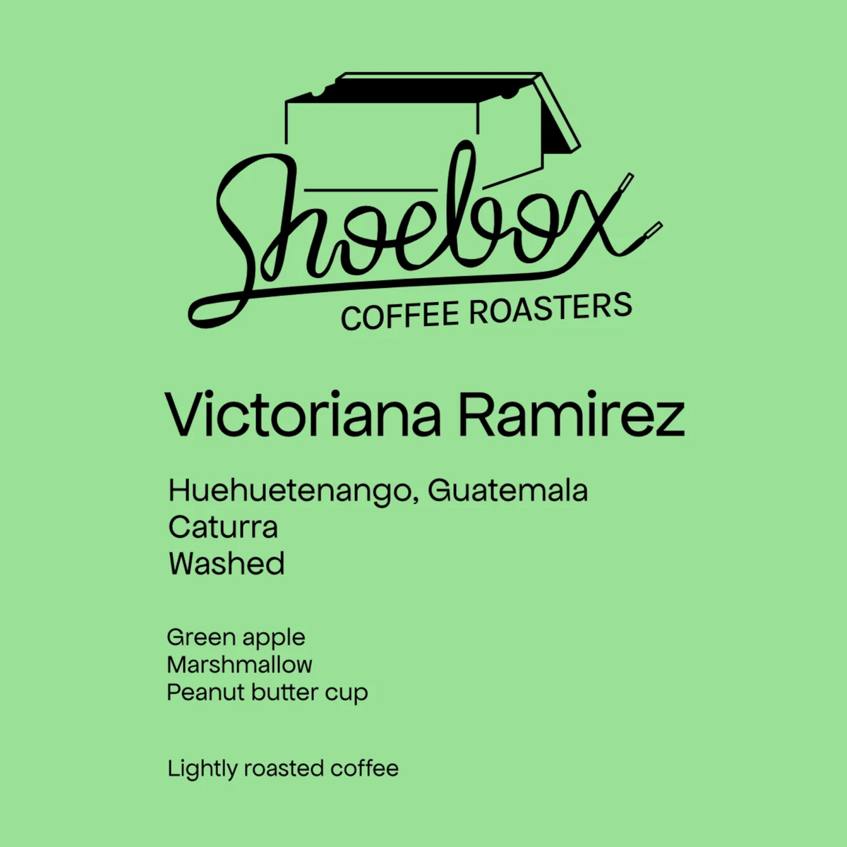 SHOEBOX - Victoriana Ramirez | Guatemala - Washed - Caturra