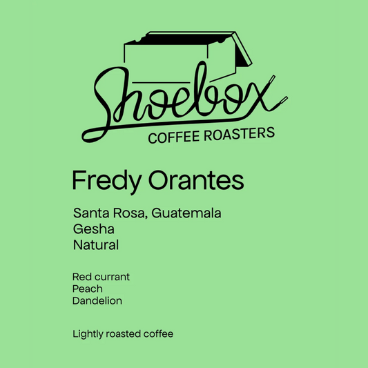 SHOEBOX - Fredy Orantes | Guatemala - Natural - Gesha
