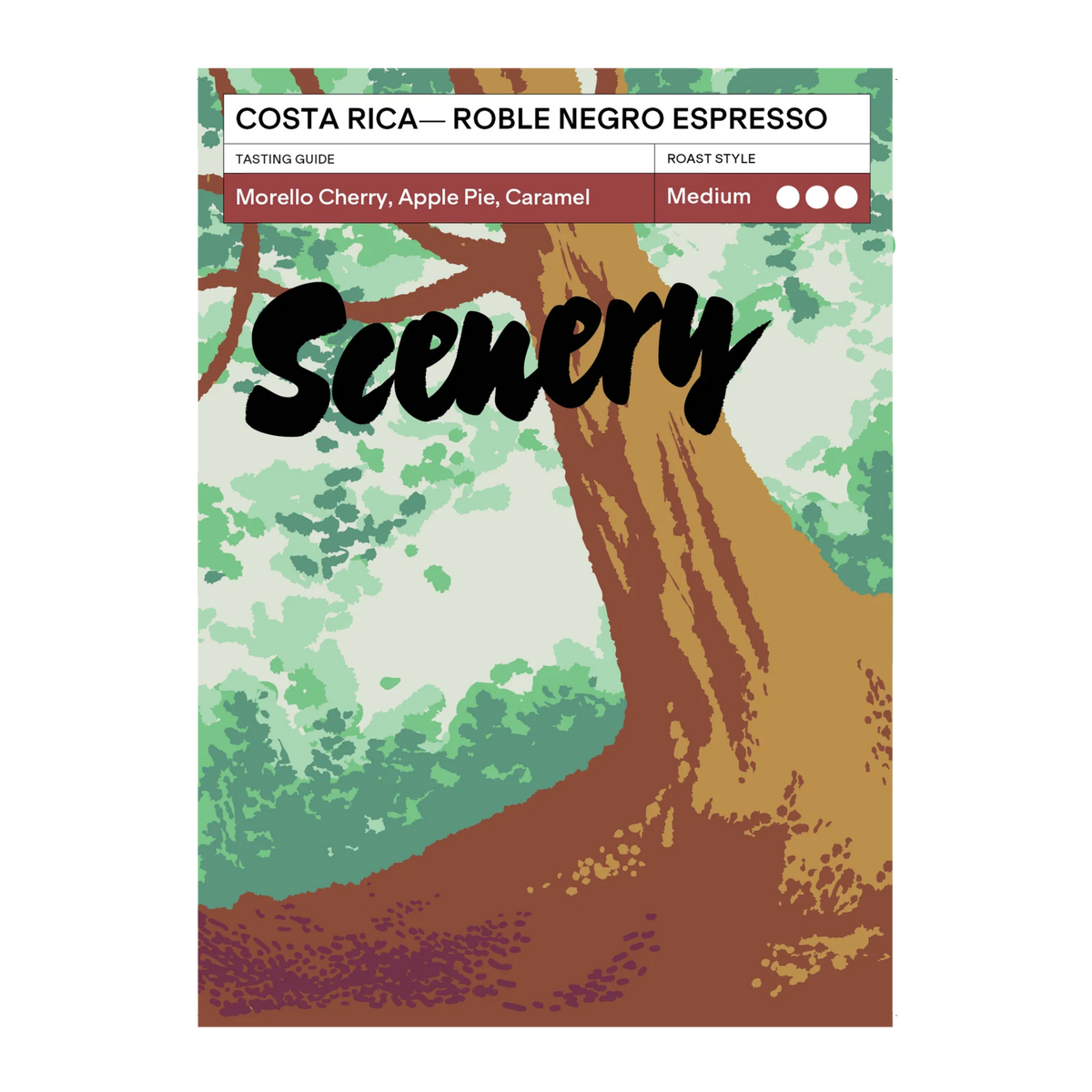 SCENERY - Roble Negro {Espresso} | Costa Rica - Washed - Catuai