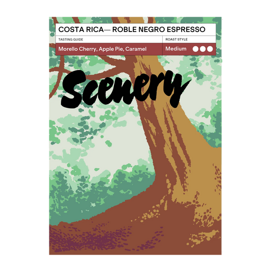 SCENERY - Roble Negro {Espresso} | Costa Rica - Washed - Catuai