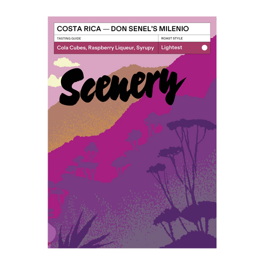 SCENERY - Don Senel Milenio | Costa Rica - Slow Dried Natural - Milenio
