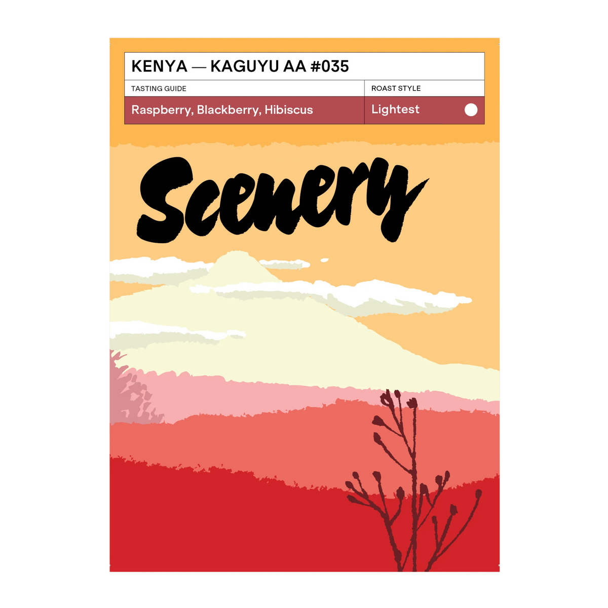 SCENERY - Kaguyu AA #035 | Kenya - Washed - SL28, SL34, Ruiru11, Batian