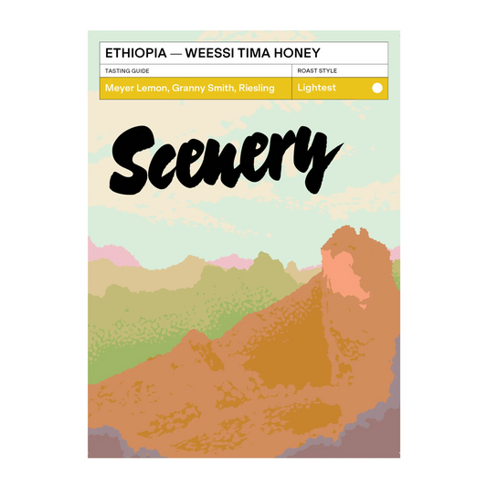 SCENERY - Weessi Tima Anoxic Honey | Ethiopia - Anoxic 'Yellow' Honey - JARC 74110, 74112