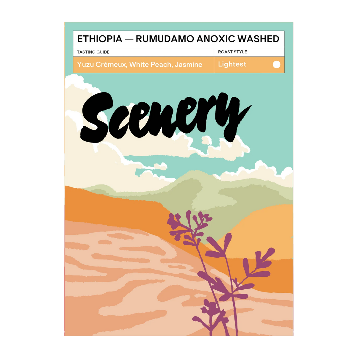 SCENERY - Rumudamo Anoxic Washed | Ethiopia - Anoxic Washed - JARC 74112, 74110, 74158