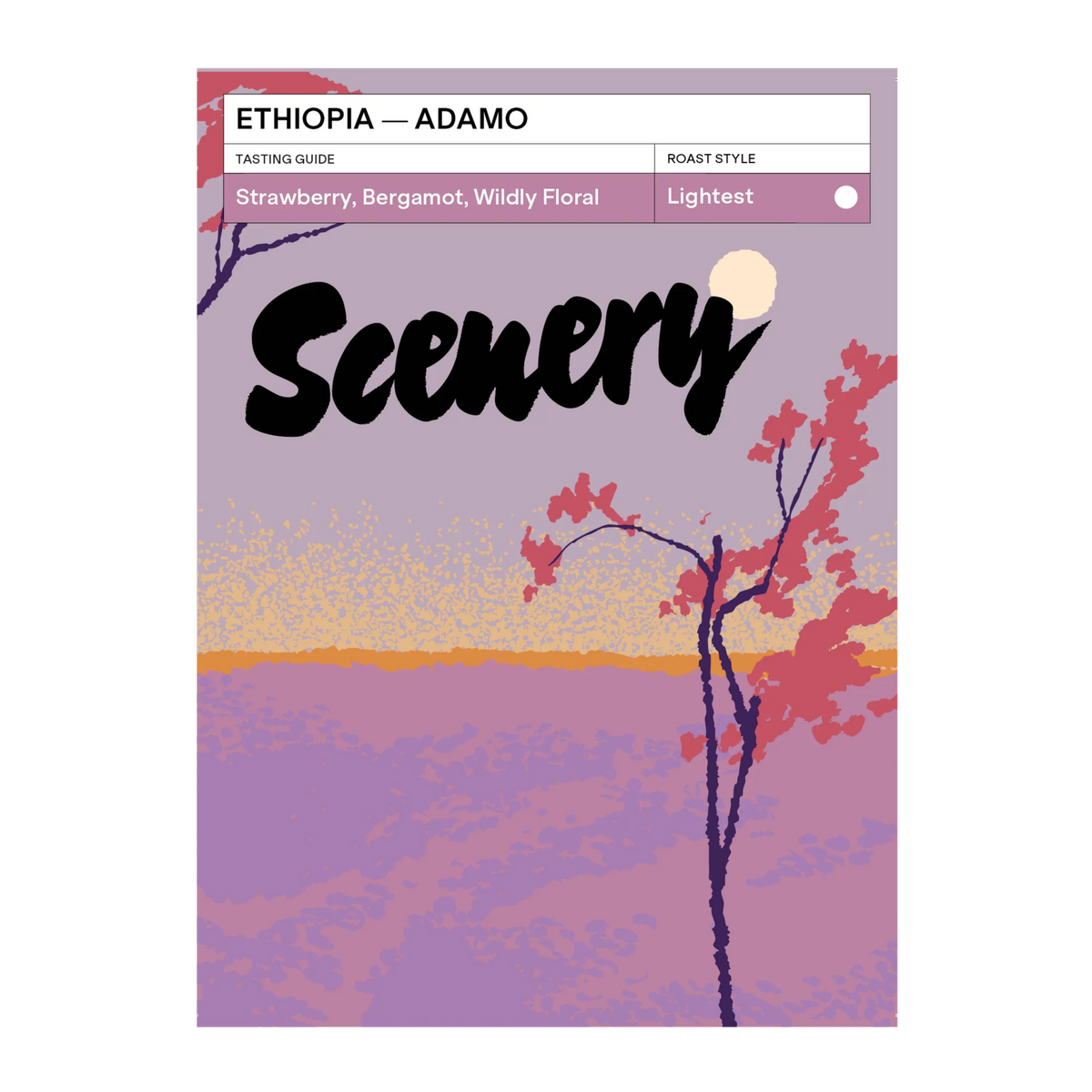 SCENERY - Adamo | Ethiopia - Natural - JARC 74110 & 74112