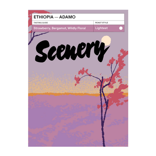 SCENERY - Adamo | Ethiopia - Natural - JARC 74110 & 74112