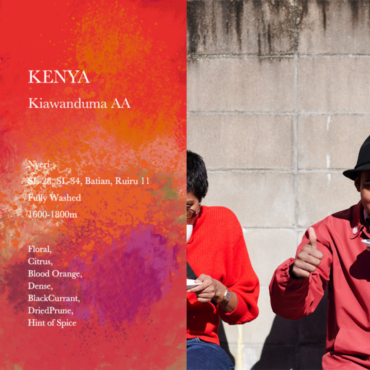 WEEKENDERS COFFEE - Kiawanduma AA | Kenya - Washed - SL28, SL34, Batian, Ruiru11