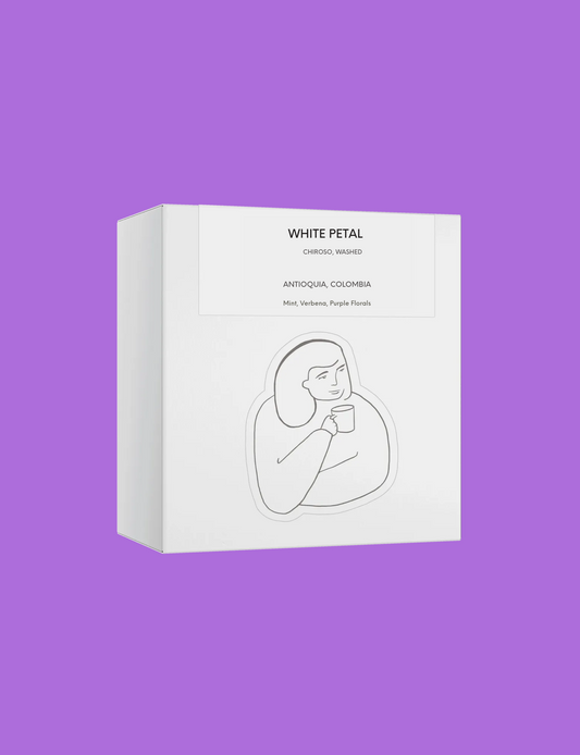 DAK - Pastel Hour | Colombia - Washed - Chiroso