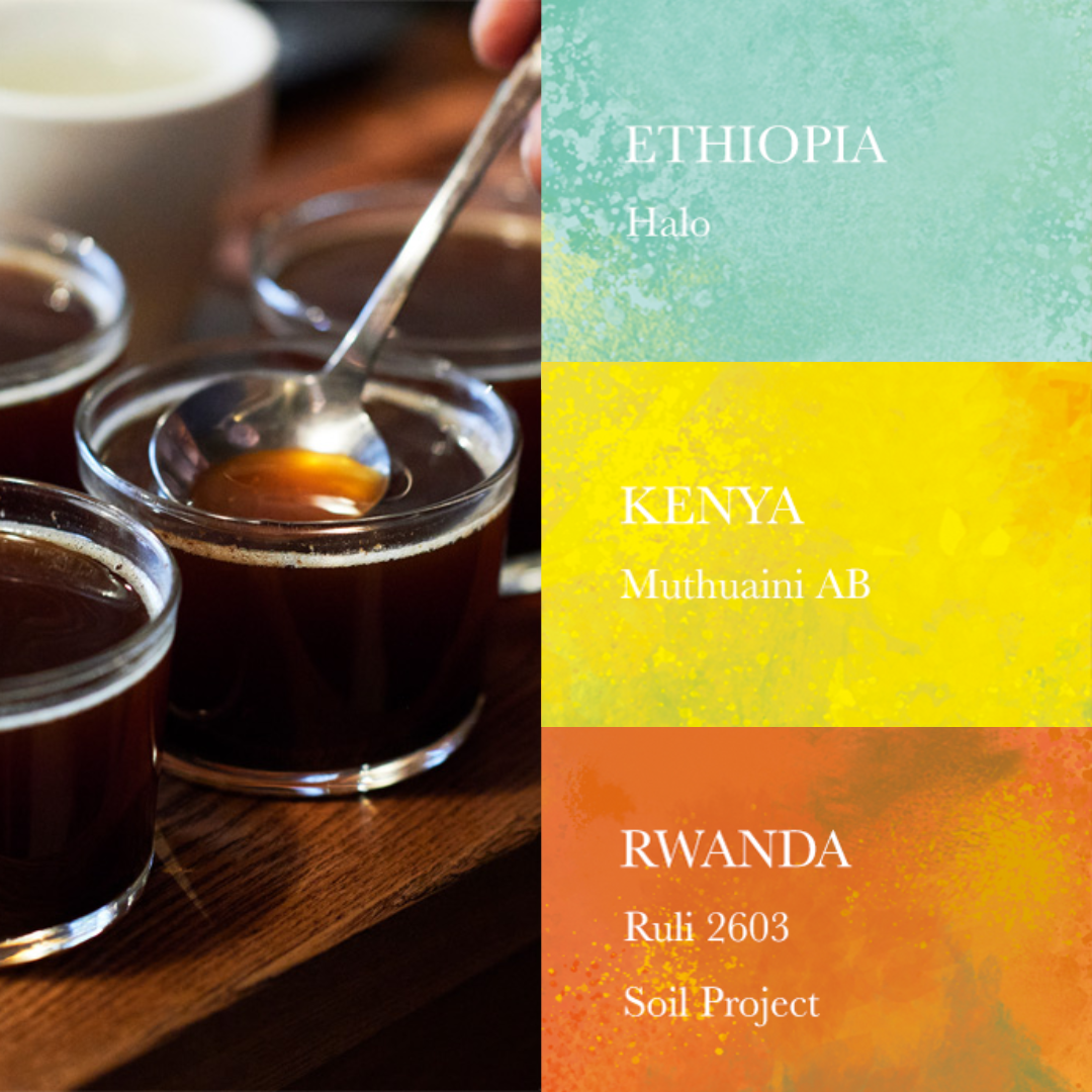 WEEKENDERS - Light Roast Bundle 100g x 3