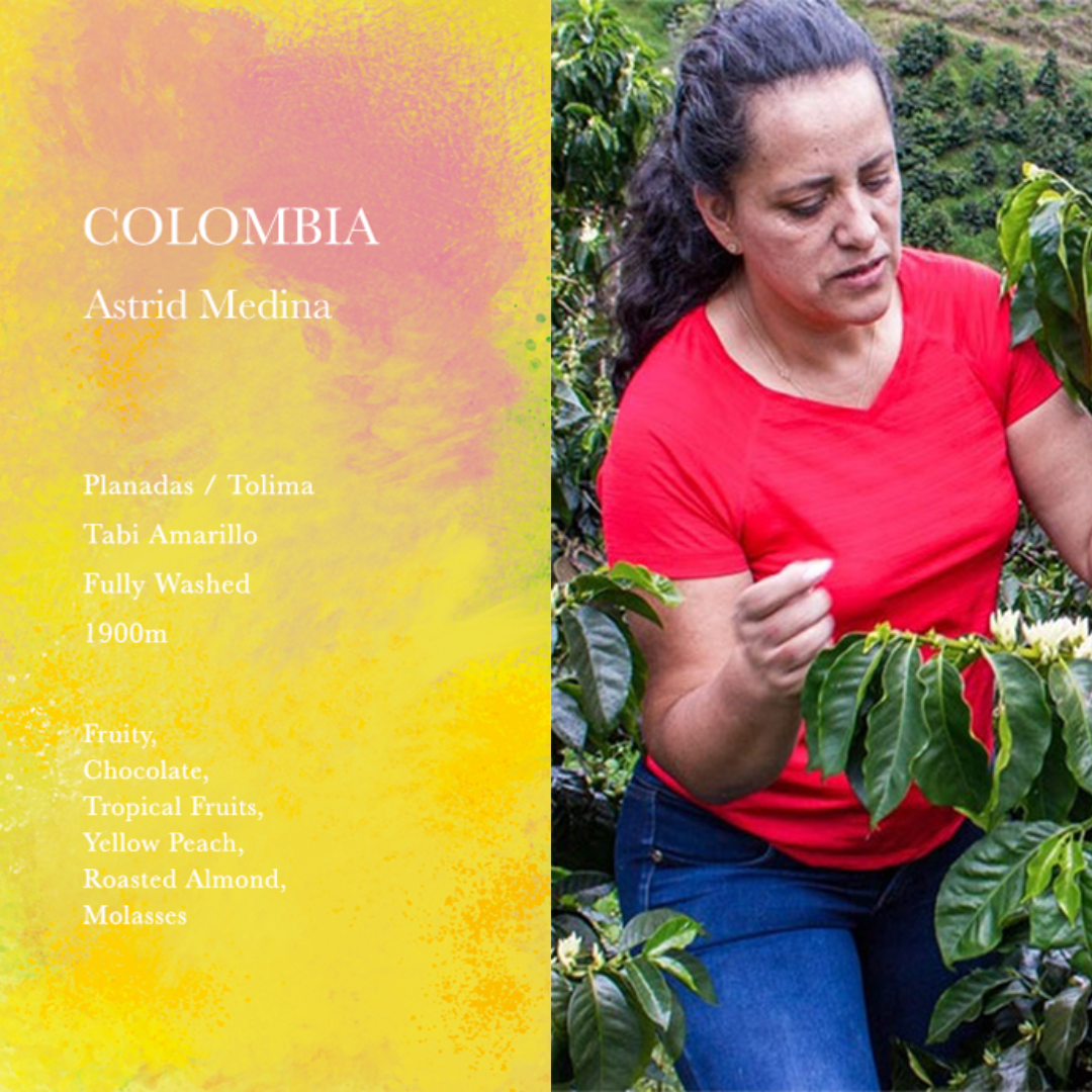 WEEKENDERS COFFEE - Astrid Medina "Tabi" | Colombia - Washed - Tabi Amarillon