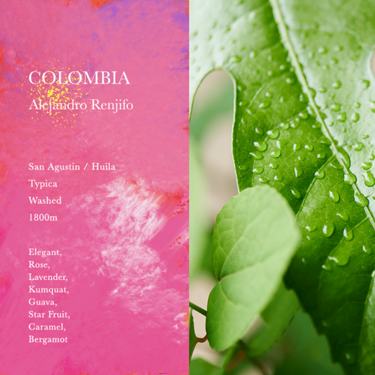 WEEKENDERS COFFEE - Alejandro Renjifo | Colombia - Washed - Typica