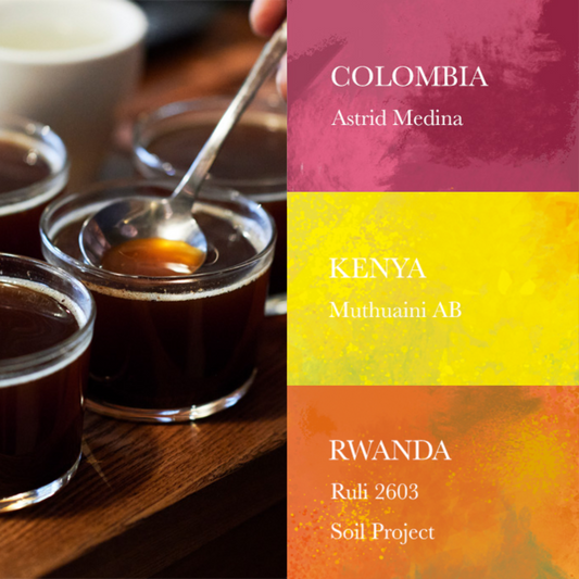 WEEKENDERS - Light Roast Bundle 100g x 3