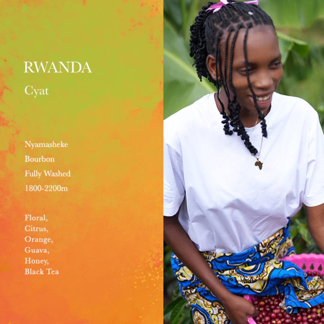 WEEKENDERS COFFEE - Cyat | Rwanda - Washed - Bourbon