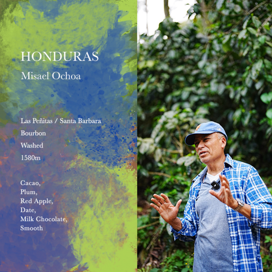 WEEKENDERS COFFEE - Misael Ochoa | Honduras - Washed - Bourbon