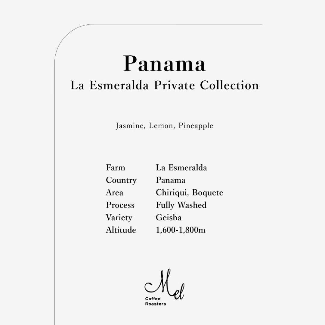 MEL - La Esmeralda Private Collection {Filter} | Panama - Washed - Geisha