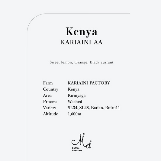 MEL - Kariaini AA {Filter} | Kenya - Washed - SL34, SL28, Batian, Ruiru11