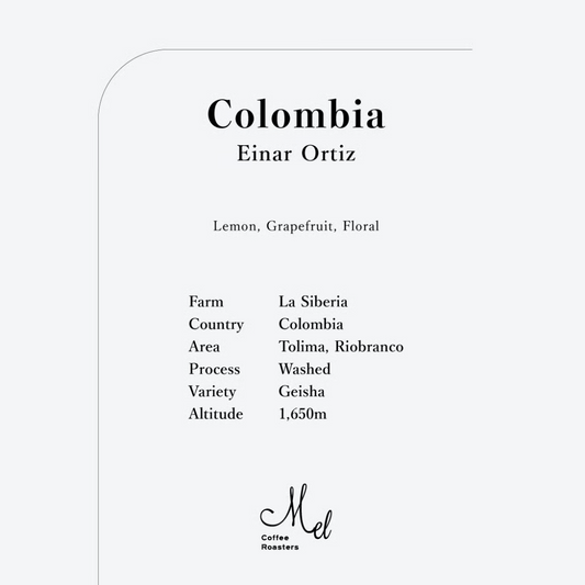 MEL - Einar Ortiz {Filter} | Colombia - Washed - Geisha