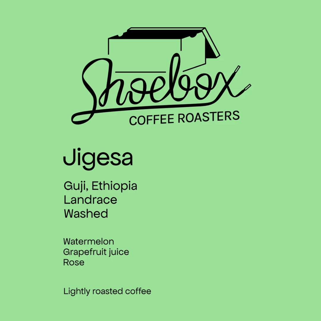 SHOEBOX - Jigesa | Ethiopia - Washed - Landrace
