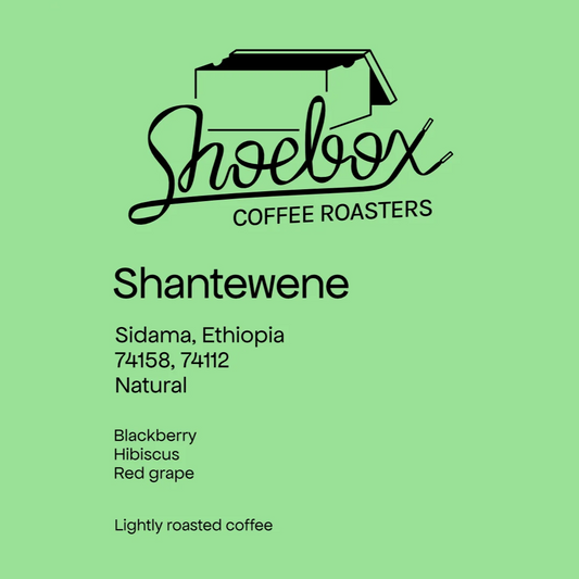 SHOEBOX - Shantewene | Ethiopia - Natural - 74158, 74112