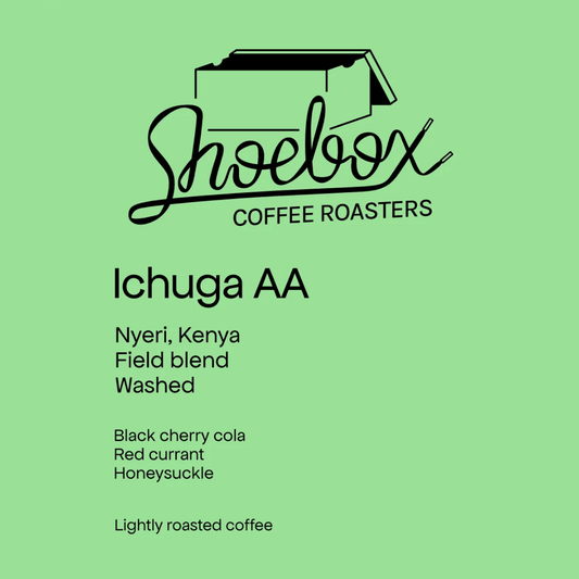 SHOEBOX - Ichuga AA | Kenya - Washed - Field Blend