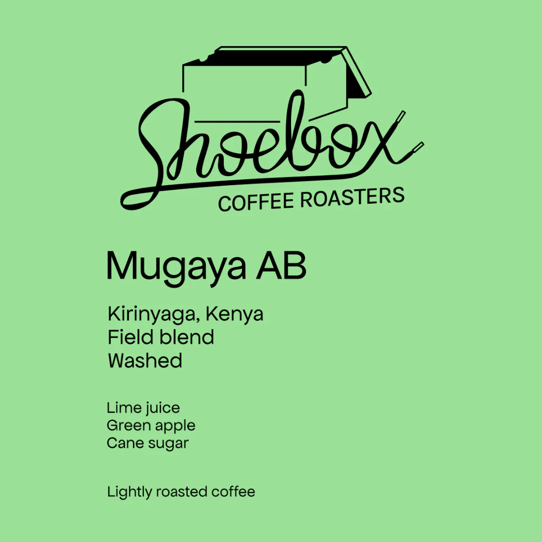 SHOEBOX - Mugaya AB | Kenya - Washed - Field Blend