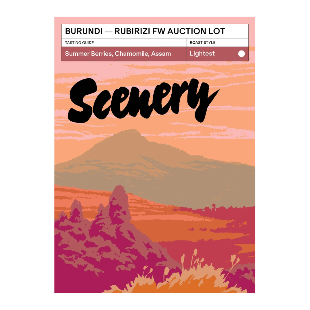 SCENERY - Rubirizi FW Auction Lot | Burundi - Washed - Red Bourbon