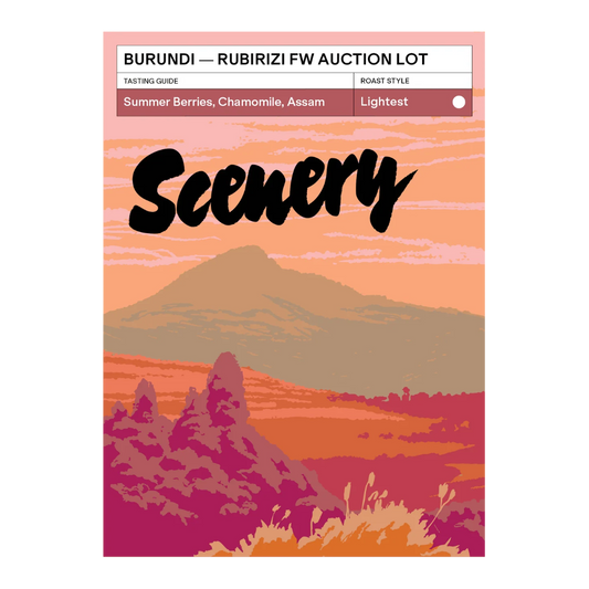 SCENERY - Rubirizi FW Auction Lot | Burundi - Washed - Red Bourbon