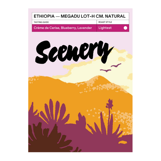 SCENERY - Megadu "Cherry Ascension" Lot-H CM Natural | Ethiopia - Carbonic Macerated Natural - Local Landrace, 74112, 74158