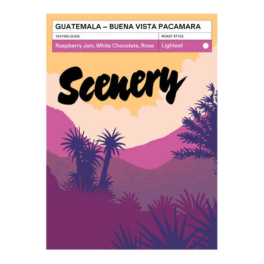 SCENERY - Buena Vista Pacamara | Guatemala - Natural - Pacamara