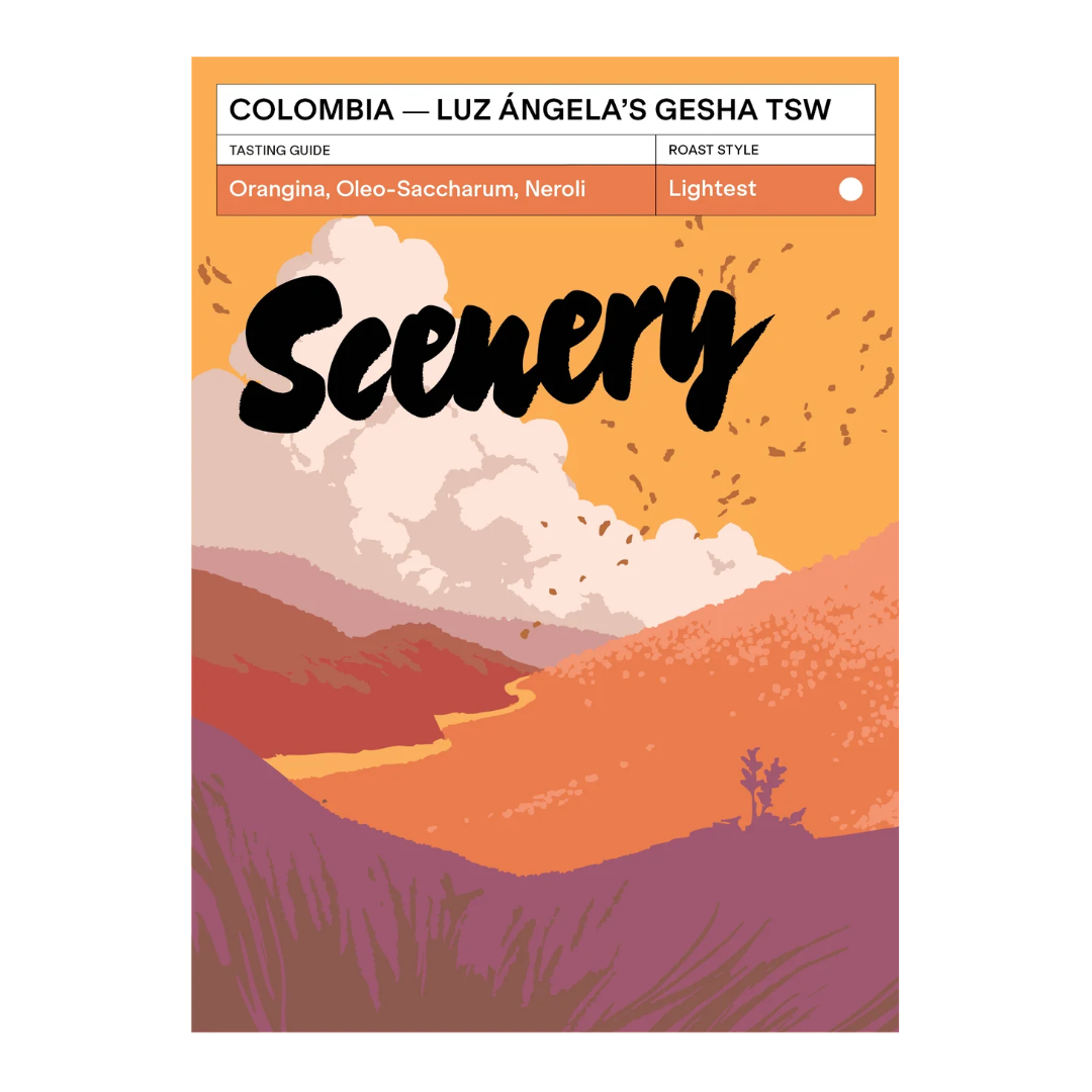 SCENERY - Luz Ángela's Orange Gesha TSW | Colombia - Thermal Shock Washed - Orange Gesha
