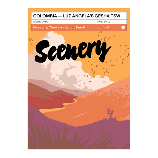 SCENERY - Luz Ángela's Orange Gesha TSW | Colombia - Thermal Shock Washed - Orange Gesha