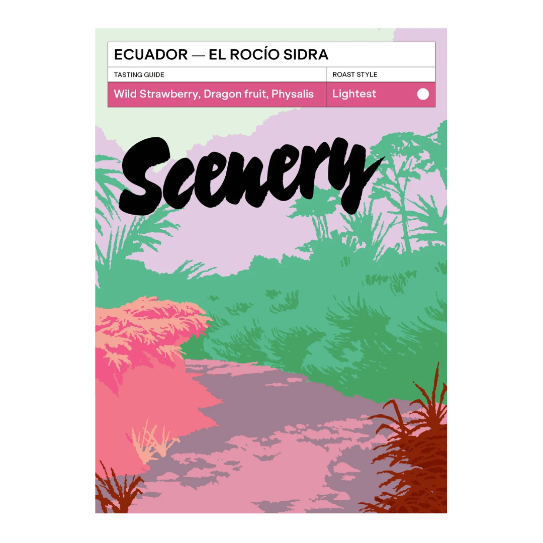 SCENERY - El Rocío Sidra | Ecuador - Anoxic Washed - Sidra