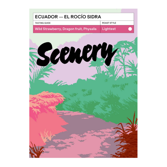 SCENERY - El Rocío Sidra | Ecuador - Anoxic Washed - Sidra