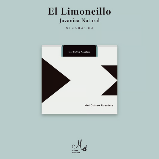 MEL - El Limoncillo {Filter} | Nicaragua - Natural - Javanica