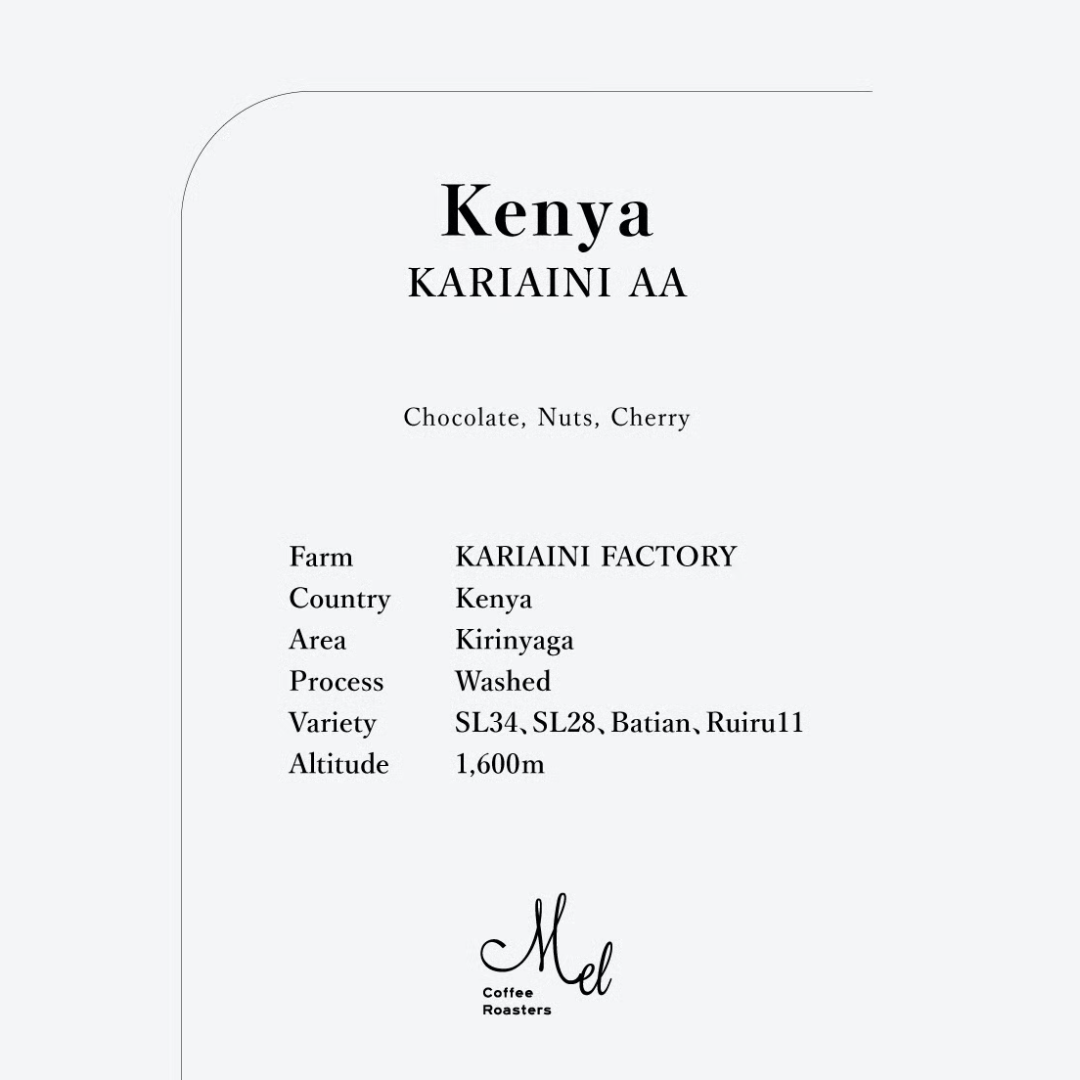MEL - Kariaini AA Medium Roast {Filter} | Kenya - Washed - SL34, SL28, Batian, Ruiru11