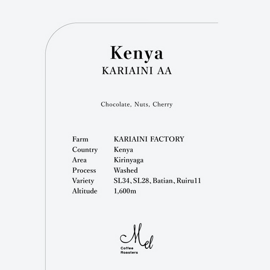 MEL - Kariaini AA Medium Roast {Filter} | Kenya - Washed - SL34, SL28, Batian, Ruiru11