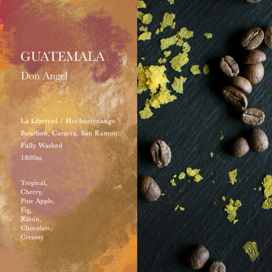 WEEKENDERS COFFEE - Don Angel | Guatemala - Washed - Bourbon, Caturra, San Ramon