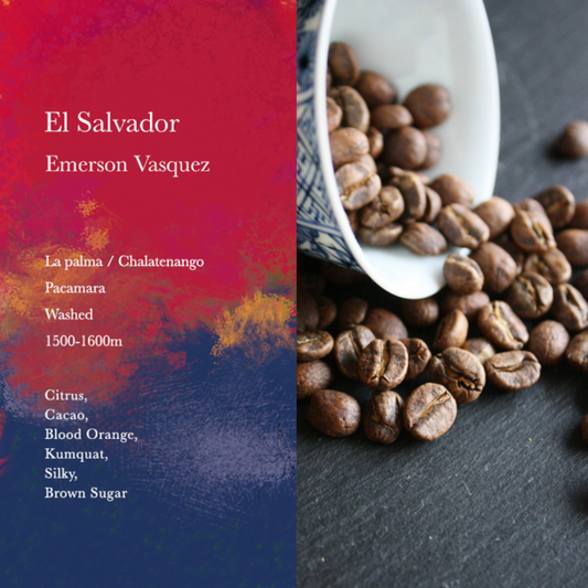 WEEKENDERS COFFEE - Emersson Vasquez | El Salvador - Washed - Pacamara