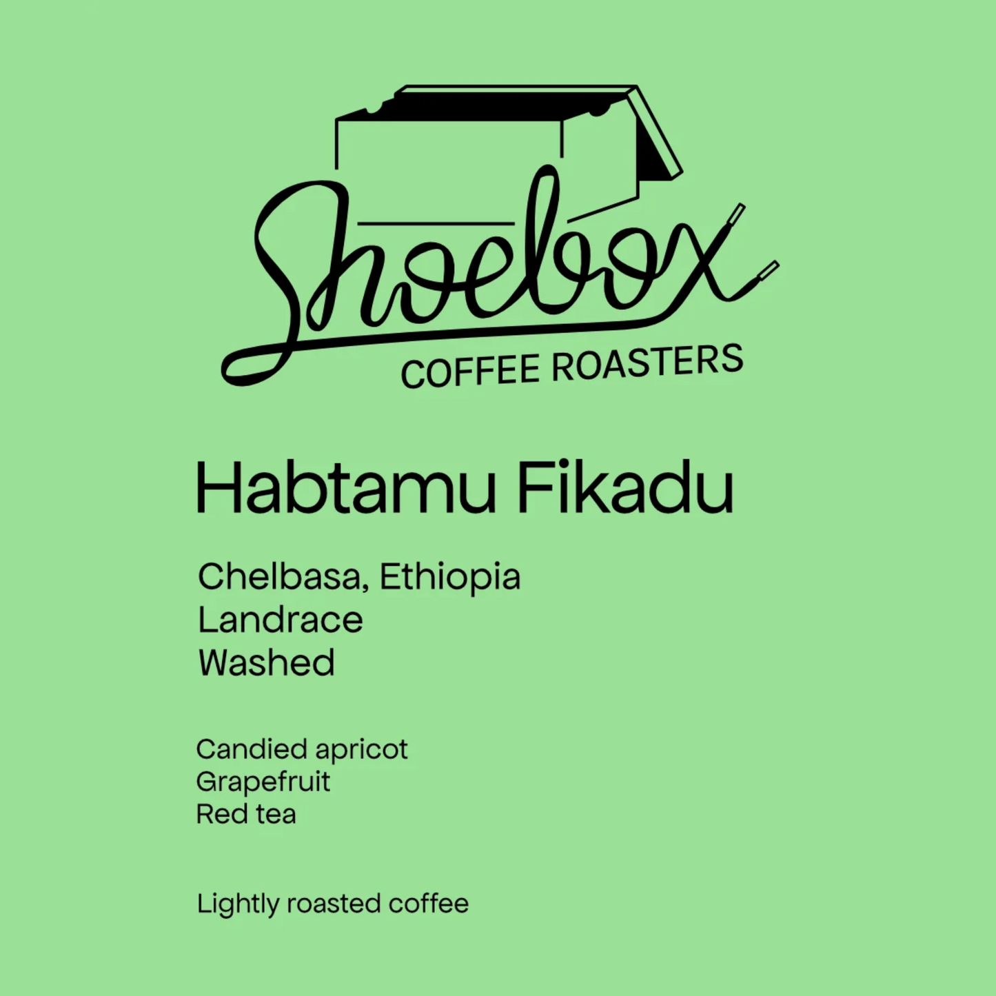 SHOEBOX - Habtamu Fikadu | Ethiopia - Washed - Landrace